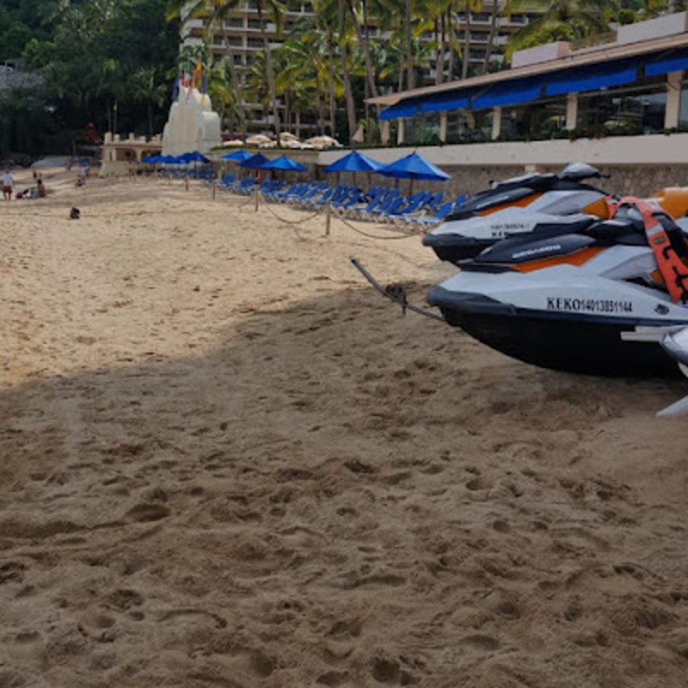 Meet your Posher, Rosa